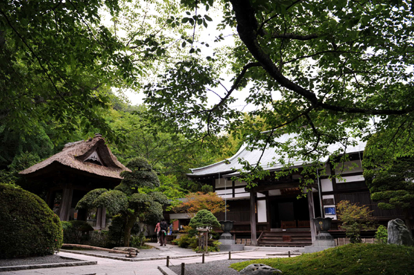 519 kamakura5 DSC_6391.jpg